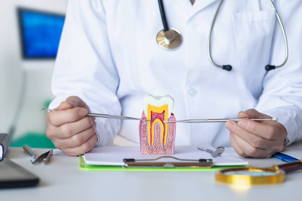 Reliable WY Emergency Dentist Solutions